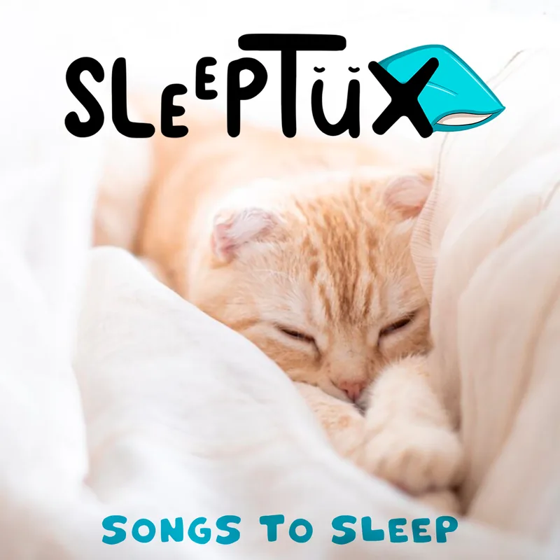 Songs to Sleep album cover: a ginger cat asleep under white covers